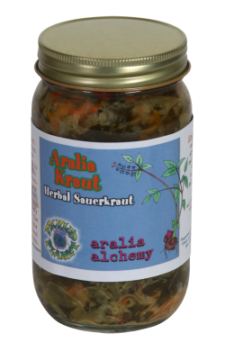 Aralia Kraut
