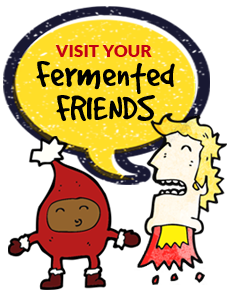 fermented_friends