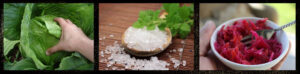 [Header Image] three photos: raw cabbage, raw salt, and fermented sauerkraut